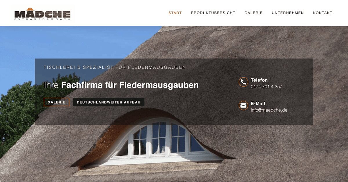 Politik Webseite Design Agentur